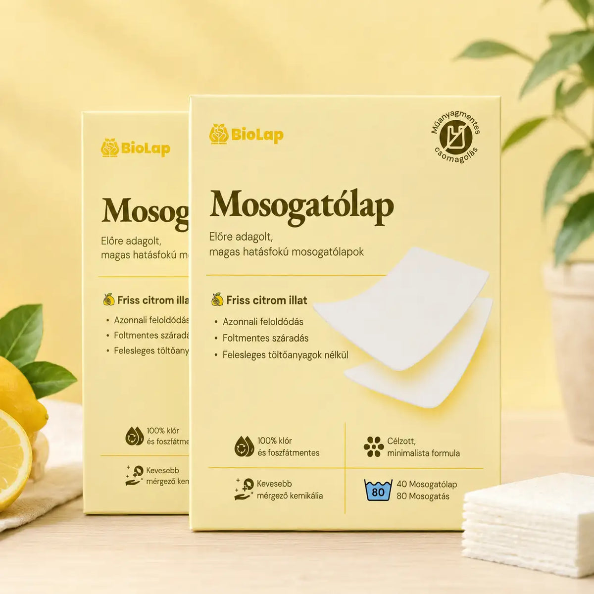 BioLap – Mosogatólap