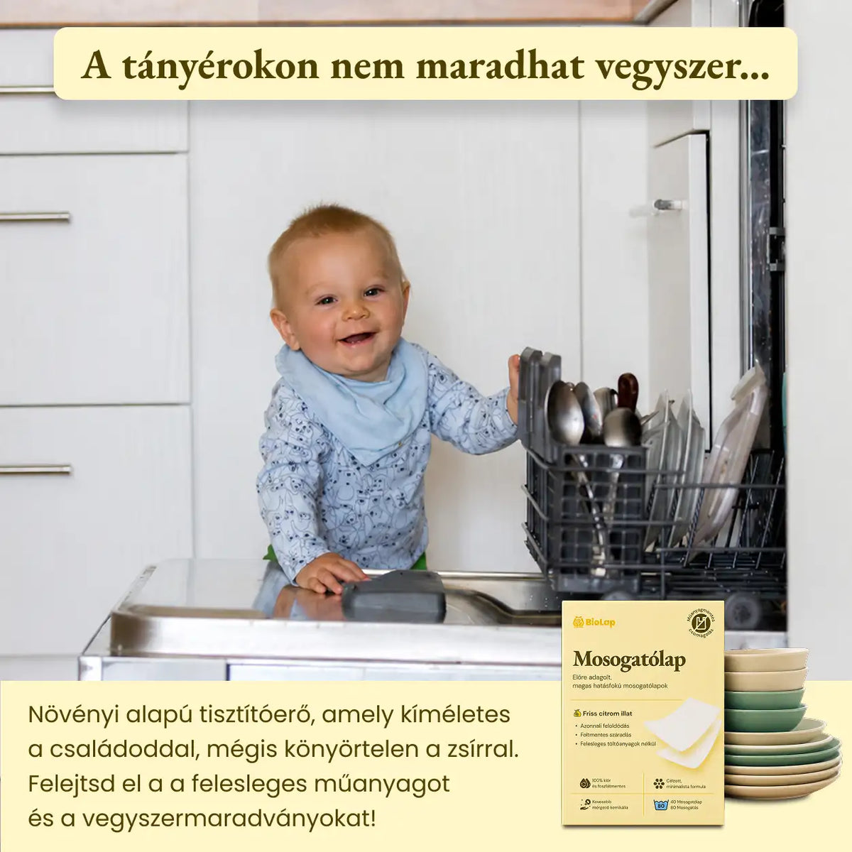 BioLap – Mosogatólap